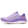 Go Run Persistence “Roxo”